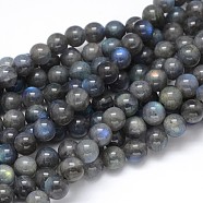 Natural Labradorite Round Bead Strands, Grade AA, 10mm, Hole: 1mm, about 40pcs/strand, 16 inch(G-O087-05-10mm)