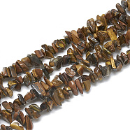 Natural Tiger Eye Beads Strands, Chip, 3~11x3~5x1~4mm, Hole: 1mm, about 380~400pcs/strand, 33 inch(G-S315-11)