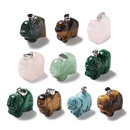 Natural & Synthetic Mixed Gemstone Pendants, Dog Charms with Platinum Plated Metal Snap on Bails, Mixed Dyed and Undyed, 17.5~18.5x19.5~21.5x9.5~11mm, Hole: 3x5.5mm(G-B068-07P)