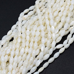 Dyed Natural Shell Beads Strands, Oval, White, 8x4mm, Hole: 1mm, about 50pcs/strand, 15.7 inch(40cm)(X-BSHE-E023-01C)