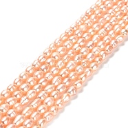 Natural Cultured Freshwater Pearl Beads Strands, Rice, Grade 2A, PeachPuff, 6~6.5x4~4.5mm, Hole: 0.5mm, about 62pcs/strand, 14.06''~14.25''(35.7~36.2cm)(PEAR-E016-163)