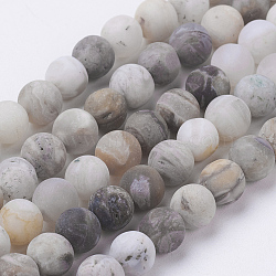 Natural Bamboo Leaf Agate Beads Strands, Frosted, Round, 6mm, Hole: 0.8mm, about 63pcs/strand, 15.3 inch(39cm)(G-J376-13F-6mm)