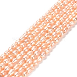 Natural Cultured Freshwater Pearl Beads Strands, Rice, Grade 2A, PeachPuff, 6~6.5x4~4.5mm, Hole: 0.5mm, about 62pcs/strand, 14.06''~14.25''(35.7~36.2cm)(PEAR-E016-163)