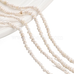 Natural Cultured Freshwater Pearl Beads Strands, Potato, Old Lace, 1.8~2.2mm, Hole: 0.5mm, about 95~97pcs/strand, 7.09~7.28 inch(18~18.5cm)(PEAR-C003-03)