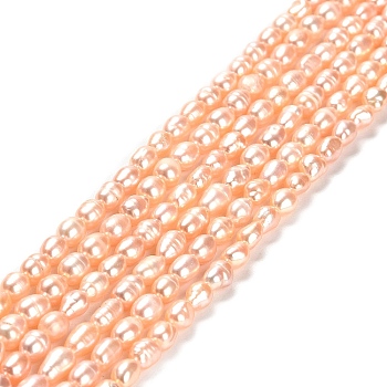 Natural Cultured Freshwater Pearl Beads Strands, Rice, Grade 2A, PeachPuff, 6~6.5x4~4.5mm, Hole: 0.5mm, about 62pcs/strand, 14.06''~14.25''(35.7~36.2cm)
