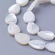 Shell Beads Strands, teardrop, 13~14x9.6~10x3~4mm, Hole: 0.7mm, about 29pcs/strand, 15.66 inch(39.8cm)(SSHEL-E571-23A)