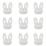 Bunny Natural Freshwater Shell Beads, Rabbit Head, Seashell Color, 12x14.5x3mm, Hole: 1mm(SHEL-CJ0001-13)