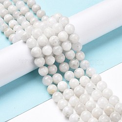 Natural Rainbow Moonstone Beads Strands, Round, 8mm, Hole: 1mm, about 48pcs/strand, 15.5 inch(39.5cm)(G-I249-B04-02)