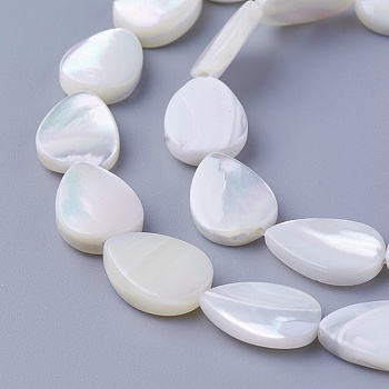 Shell Beads Strands, teardrop, 13~14x9.6~10x3~4mm, Hole: 0.7mm, about 29pcs/strand, 15.66 inch(39.8cm)
