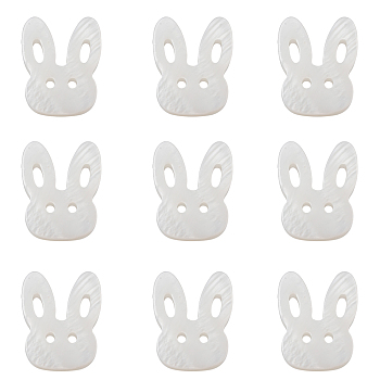 Bunny Natural Freshwater Shell Beads, Rabbit Head, Seashell Color, 12x14.5x3mm, Hole: 1mm