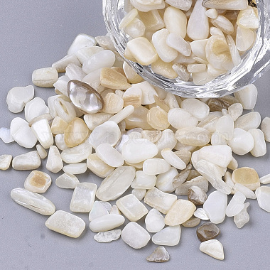 Perles de coquille d'eau douce(X-SHEL-S266-11)-3