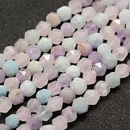Natural Aquamarine & Rose Quartz & Amethyst Beads Strands, Faceted, Round, 6mm, Hole: 1mm, about 61pcs/strand, 14.5~14.7 inch(37~37.5cm)(G-G682-34-6mm)