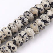 Natural Dalmatian Jasper Beads Strands, Rondelle, 8x5mm, Hole: 1mm, about 75pcs/strand, 15.5 inch(39.5cm)(G-O162-02-5x8mm)