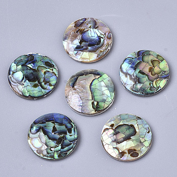 Natural Abalone Shell/Paua Shell Cabochons, with Freshwater Shell, Flat Round, Colorful, 16x3mm