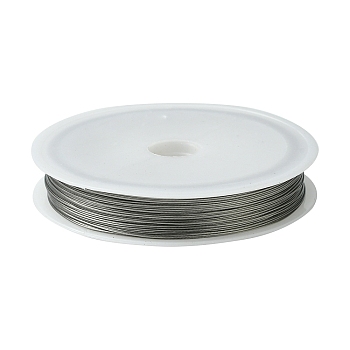 Tiger Tail Wire, Nylon-coated Stainless Steel, Silver, 25 Gauge(0.45mm), about 180.44 Feet(55m)/roll, 10 rolls/set