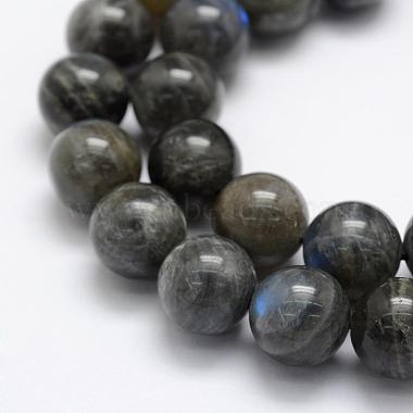 Natural Labradorite Beads Strands(G-P322-31-12mm)-3