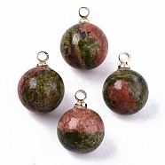 Natural Unakite Charms, with Golden Plated Brass Loops,, Round, 14x10.5mm, Hole: 1.5mm(G-N332-024G-15)