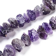 Natural Amethyst Beads Strands, Rough Raw Stone, Nuggets, 13~21x5~13mm, Hole: 1.2mm, about 23~24pcs/strand, 7.87 inch~8.26  inch(20~21cm)(G-I283-F04)