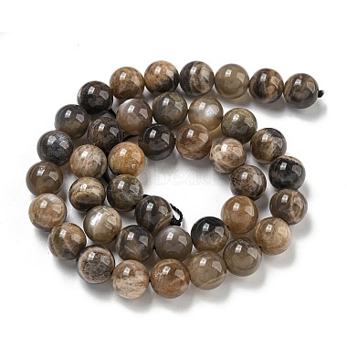 naturelles perles noires de pierre de lune brins(G-Q183-A01-02)-3