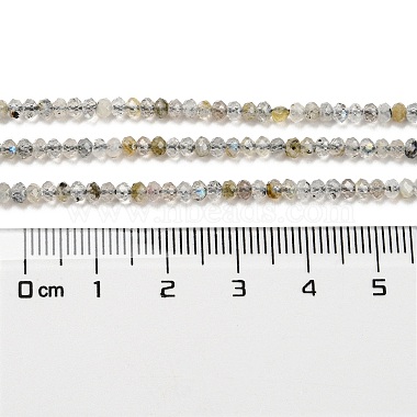 Natural Labradorite Beads Strands(G-F759-01)-5