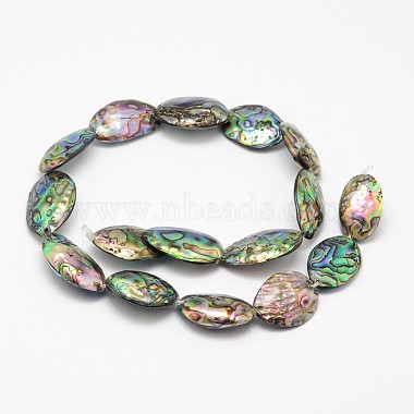Natural Paua Shell Beads Strands(BSHE-D009-A)-2