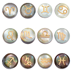 12Pcs 12 Styles Natural Black Lip Shell Gold Enamel Beads, Flat Round with Constellation, Mixed Shapes, 8x5.5mm, Hole: 1mm, 1pc/style(SSHEL-BC0001-32)