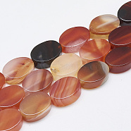 Natural Red Agate Beads Strands, Oval, 14~15x10~11x5mm, Hole: 1mm, about 28pcs/strand, 15.3 inch~16.1 inch(G-T122-04F)