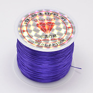 Flat Elastic Crystal String, Elastic Beading Thread, for Stretch Bracelet Making, Blue Violet, 0.8mm, about 54.68 Yards(50m)/Roll(EW-O001-01M)
