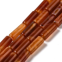 Natural Agate Beads Strands, Dyed & Heated, Column, Coral, 8~8.5x14.5~16mm, Hole: 1.6mm, about 12pcs/strand, 7.20~7.48''(18.3~19cm)(G-H295-E01-05)
