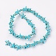 Synthetic Turquoise Beads Strands(G-E456-06A-15mm)-2