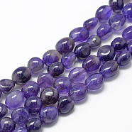 Natural Amethyst Beads Strands, Grade A, Oval, 8~15x7~12x4~12mm, Hole: 1mm, about 30~45pcs/strand, 15.7 inch(X-G-R445-8x10-03)