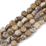Natural Picture Jasper Beads Strands, Nuggets, Tumbled Stone, 5~11x5~8x3~6mm, Hole: 0.8mm, about: 52~56pcs/Strand, 15.94 inch(40.5cm)(G-S363-060)