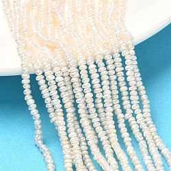 Natural Cultured Freshwater Pearl Beads Strands, Rondelle, Grade 4A+, Navajo White, 2~2.5mm, Hole: 0.5mm, about 195pcs/strand, 14.57 inch(37cm)(PEAR-C004-06)
