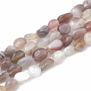 Natural Botswana Agate Beads Strands, Oval, 5~15x4~10x2~6mm, Hole: 1mm, about 40~60pcs/strand, 15.7 inch