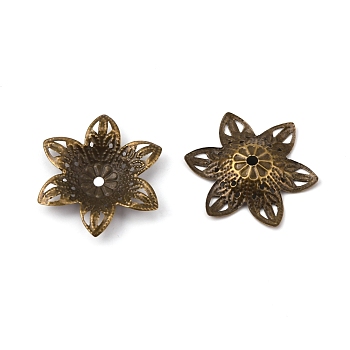 6-Petal Iron Bead Caps, Flower, Antique Bronze, 30.5x26.5x3.5mm, Hole: 2mm