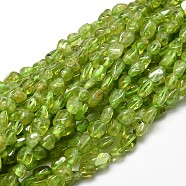 Natural Peridot Nuggets Beads Strands, 5~10x6~7x3~7mm, hole: 1mm, about 14.9 inch~15.7 inch(X-G-J335-41)