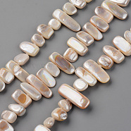 Spray Painted Natural Freshwater Shell Beads Strands, Shell Shards, Chip, Linen, 5~9x8~26x3~6mm, Hole: 0.8mm, about 41~45pcs/strand, 13.78 inch~14.96 inch(35~38cm)(SHEL-S276-89C)