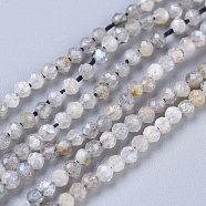 Natural Rainbow Moonstone Beads Strands, Round, Faceted, 2mm, Hole: 0.5mm, about 170~210pcs/strand, 15.16~15.94 inch(38.5~40.5cm)(G-R475-025A)