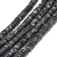 Natural Larvikite Beads Strands, Flat Round/Disc, Heishi Beads, 6~6.5x3mm, Hole: 1mm, about 130pcs/strand, 15.75''(40cm)(G-G974-02)