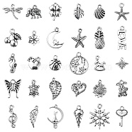 30Pcs 30 Style Tibetan Style Alloy Charms, Mixed Shapes, Antique Silver, 10~21x7~15x1~4mm, Hole: 1~2mm, 1pc/style(TIBE-YW0001-04)