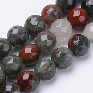 Natural African Bloodstone Beads Strands, Heliotrope Stone Beads, Faceted, Round, 6mm, Hole: 1mm, about 62pcs/strand, 15.3 inch(G-S281-21-6mm)