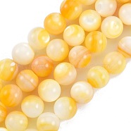 Natural Golden Yellow Shell Beads Strands, Round, 10mm, Hole: 1mm, about 39pcs/strand, 14.72 inch(37.4cm)(SSHEL-G024-01E)