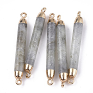Electroplate Natural Labradorite Links connectors, with Iron Findings, Column, Golden, 44~45x5mm, Hole: 1.8mm(G-S344-73E)