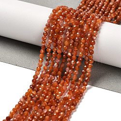 Natural South Red Agate Beads Strands, Faceted, Round, 3~3.2x3mm,Hole:0.60mm, , about 128pcs/strand, 15.16''(38.5cm)(G-Z074-A02-01B)