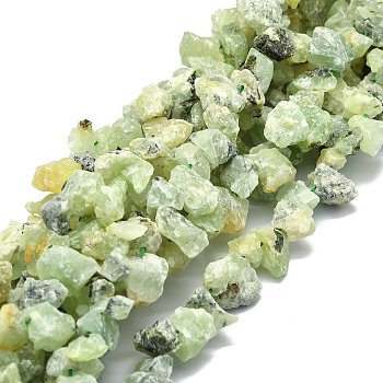 Raw Rough Natural Prehnite Beads Strands, Chip, 8~18x7~14x4~11mm, Hole: 1.2mm, about 50~51pcs/strand, 16.14''(41cm)