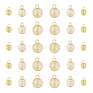 30Pcs 3 Style Round Iron Wire Pendants, Spiral Bead Cage Pendants, with Silver Polishing Cloth, Golden, 15~30x14~25mm, Hole: 4~6mm, 10pcs/style(IFIN-YW0001-25)