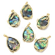 Natural Abalone Shell/Paua Shell Pendants, Teardrop Charms with Brass Leaf Wrapped, Real 14K Gold Plated, 32x22x8mm, Hole: 3x5.5mm(SHEL-G016-01G)