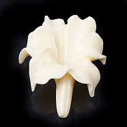 Synthetic Coral Beads, Dyed, Flower, Beige, 31~32x23~24x9mm, Hole: 1mm(X-CORA-Q033-04A-12)