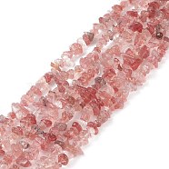 Natural Strawberry Quartz Chip Bead Strands, 5~8x5~8mm, Hole: 1mm, about 31.5 inch(X-G-M205-56)