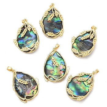 Natural Abalone Shell/Paua Shell Pendants, Teardrop Charms with Brass Leaf Wrapped, Real 14K Gold Plated, 32x22x8mm, Hole: 3x5.5mm